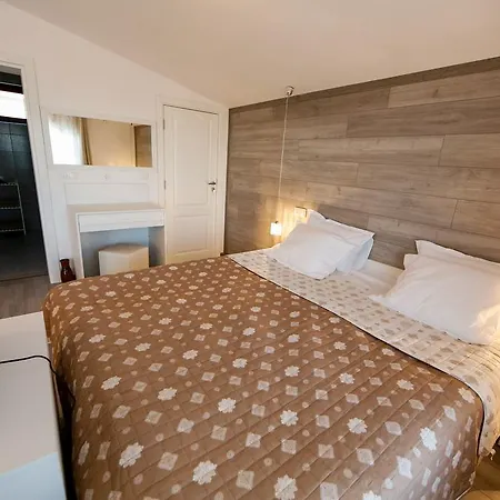 Πανσιόν Twin House Ognyanovo (Blagoevgrad)