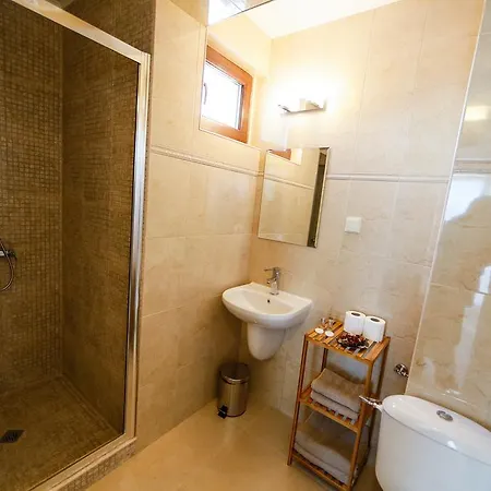 Πανσιόν Twin House Ognyanovo (Blagoevgrad)